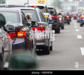 Les voitures sur l'autoroute en embouteillage Banque D'Images