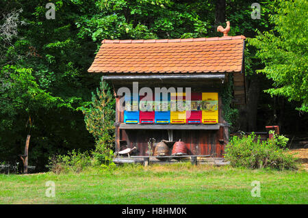 Colorés et traditionnels en bois pittoresque ruches en Slovénie. Les ruches sont peintes de couleurs vives pour que les abeilles trouvent leurs h Banque D'Images