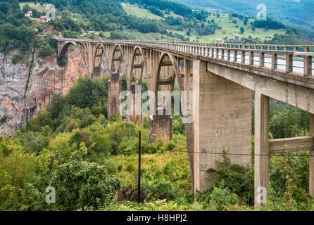 Pont Durdevica Tara, pont de viaduc en béton au-dessus du canyon de la rivière Tara, parc national de Durmitor, Alpes Dinaric, Monténégro Banque D'Images