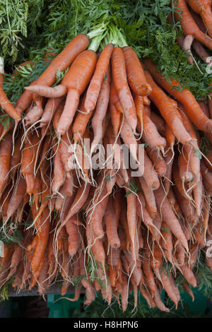 Les carottes fraîchement cueillies avec vendus au Grand Army Plaza Farmers Market à Brooklyn, New York. Banque D'Images