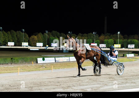 Cesena, Italie - 23 août 2016 : Night horse race course - effet panoramique photo floue Banque D'Images