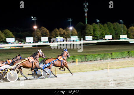 - Effet panoramique photo floue sprints à race course chevaux Banque D'Images