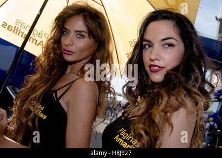 Valence, Espagne. 12 Nov, 2016. Paddock Girls durant la séance de qualification du Grand Prix Motul Valence. Crédit : Jose Breton/Pacific Press/Alamy Live News Banque D'Images