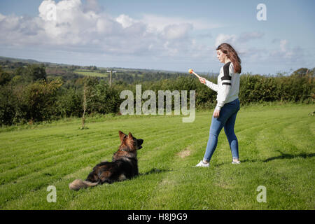 Jeune femme jette une boule pour son chien un berger allemand. Banque D'Images