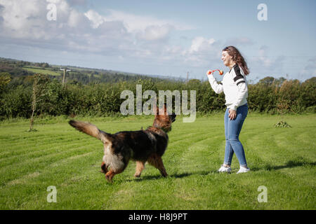 Jeune femme jette une boule pour son chien un berger allemand. Banque D'Images