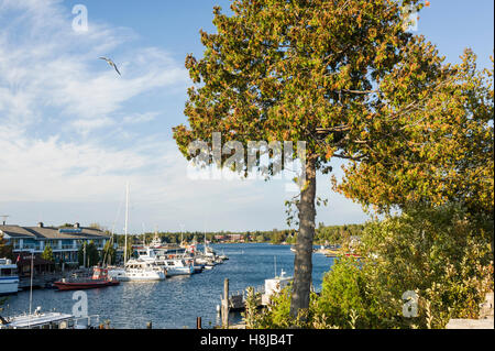 La ville de Tobermory est une petite collectivité située à la pointe nord de la péninsule Bruce, en Ontario, au Canada Banque D'Images