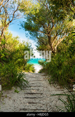 Un étroit sentier sablonneux mène à un ciel bleu et le sable doré d'une plage australienne sur la côte sud de la Nouvelle-Galles du Sud Banque D'Images