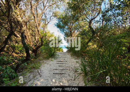 Un étroit sentier sablonneux mène à un ciel bleu et le sable doré d'une plage australienne sur la côte sud de la Nouvelle-Galles du Sud Banque D'Images