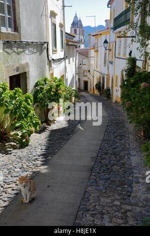 CASTELO DE VIDE, PORTUGAL : une rue pavée typique avec l'église de Santa Maria da Devesa en arrière-plan Banque D'Images