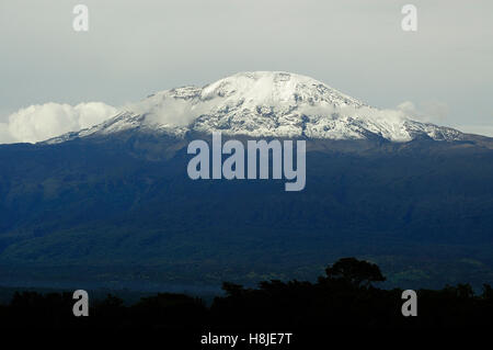 Le mont Kilimanjaro couvert de neige fraîche comme vu à partir de l'aéroport de Moshi Banque D'Images