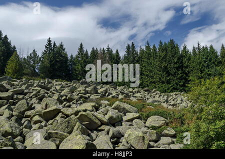 Pierre unique grand rivière pierres granitiques sur Rocky River dans le Parc National de Vitosha Mountain , Bulgarie Banque D'Images