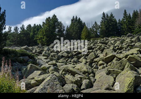 Pierre unique grand rivière pierres granitiques sur Rocky River dans le Parc National de Vitosha Mountain , Bulgarie Banque D'Images