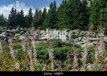 Pierre unique grand rivière pierres granitiques sur Rocky River dans le Parc National de Vitosha Mountain , Bulgarie Banque D'Images