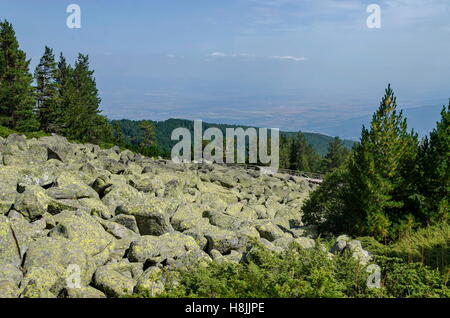 Pierre unique grand rivière pierres granitiques sur Rocky River dans le Parc National de Vitosha Mountain , Bulgarie Banque D'Images