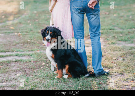 Portrait of happy young couple in vêtement élégant chien alimentation extérieur. forêt d'automne Banque D'Images