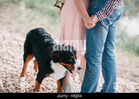 Portrait of happy young couple in vêtement élégant chien alimentation extérieur. forêt d'automne Banque D'Images