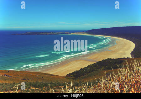 Donnant sur la plage des terres agricoles à tautuku bay, la côte est des catlins, île du Sud, Nouvelle-Zélande Banque D'Images