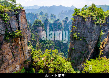 Vue sur grand Colonnes de grès et des formations dans le parc national de Zhangjiajie, Hunan, Chine Banque D'Images