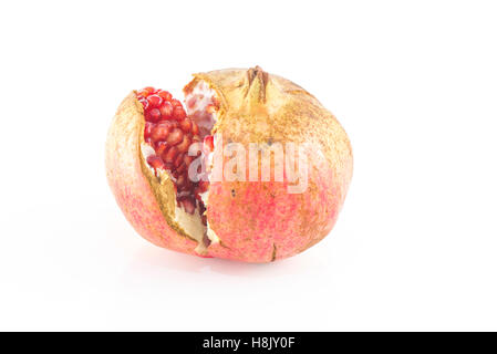 Grenadier (Punica granatum) sur fond blanc Banque D'Images