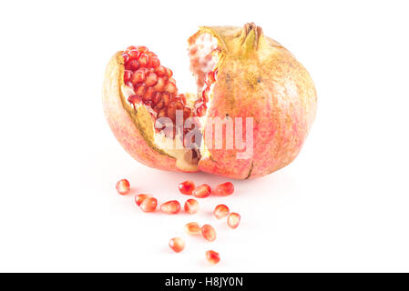 Grenadier (Punica granatum) sur fond blanc Banque D'Images