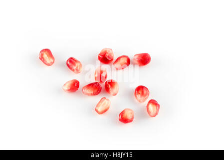 Grenadier (Punica granatum) sur fond blanc Banque D'Images