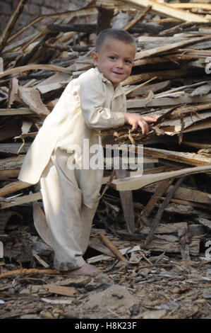 Le Pakistan. 13Th Nov, 2016. Les enfants afghans girl with blue eyes collecter des branches d'arbres en bois tamber à Rawalpindi pour utiliser du carburant en raison de la maison de gaz à effet de délestage de charge démarre en ville.La Sui Northern Gas Pipelines Limited (la société de distribution de gaz), entre-temps, a demandé au ministère du pétrole et des ressources naturelles pour lui permettre de réduire l'approvisionnement en gaz naturel à tous les autres secteurs à l'exception de l'usage domestique et commercial pour répondre à la demande croissante des consommateurs. © Zubair Ahmed/Pacific Press/Alamy Live News Banque D'Images