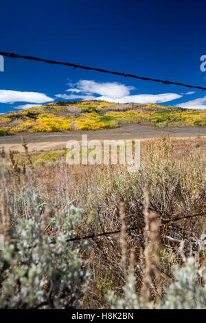 Kremmling, Colorado - Couleurs d'automne au-dessus d'un ranch dans les Montagnes Rocheuses. Banque D'Images
