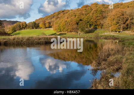 Réflexions d'automne dans la rivière Brathay Cumbria Banque D'Images