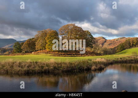 L'automne par la rivière Brathay près de Skelwith Bridge dans le Lake District Banque D'Images