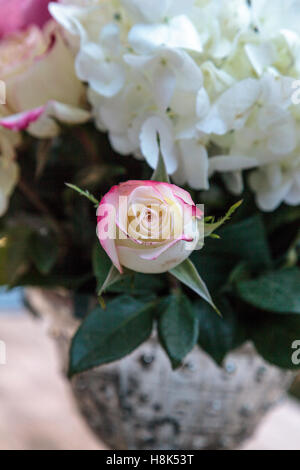 Mariage bouquet de fleurs blanches et roses roses, hortensia, y compris star gazer lilies et Queen Anne's lace sur une table rustique je Banque D'Images