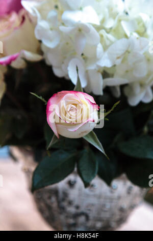 Mariage bouquet de fleurs blanches et roses roses, hortensia, y compris star gazer lilies et Queen Anne's lace sur une table rustique je Banque D'Images