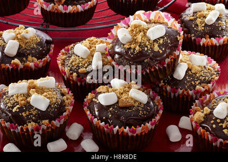 S'Mores cupcakes Banque D'Images