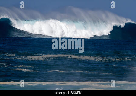 Un géant belle breaking wave ocean sur la côte nord d'Oahu, Hawaii Banque D'Images