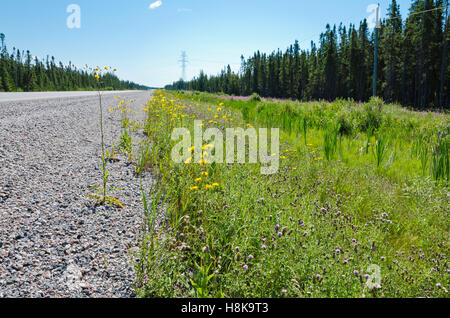 Trans Canada Highway le long de la rive du lac Supérieur Banque D'Images