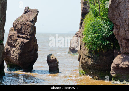 Hopewell Rocks à marée haute, Nouveau Brunswick, Canada Banque D'Images