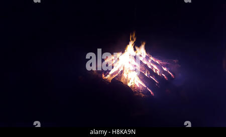 Feu allumé à un pique-nique dans une forêt. Banque D'Images