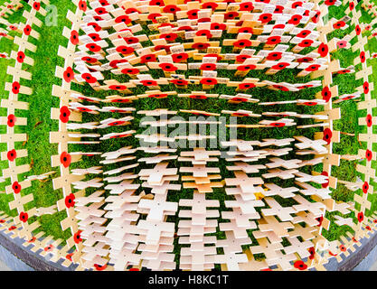 Belfast, Irlande du Nord,. 13Th Nov, 2016. Souvenir du dimanche à Belfast City Hall Cénotaphe. Crédit : Stephen Barnes/Alamy Live News Banque D'Images