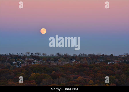 New York, USA. 13Th Nov, 2016. La plus grande pleine lune depuis 1948 qui est aussi appelé le Beaver Moon Rising dans le Bronx, NY Crédit : Rachel Cauvin/Alamy Live News