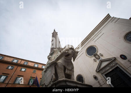 Rome, Italie. 14 novembre, 2016. Une charmante statue de Rome un petit éléphant par grand architecte et sculpteur baroque Gian Lorenzo Bernini a été endommagée par des vandales durant la nuit, a indiqué lundi. Une partie de l'une des défenses d'éléphant a été brisé et la pièce a été trouvée au pied de la statue à Rome, Piazza della Minerva, près du Panthéon. *** *** Légende locale une charmante statue de Rome un petit éléphant par grand architecte et sculpteur baroque Gian Lorenzo Bernini a été endommagée par des vandales durant la nuit, a indiqué lundi. Credit : Andrea Ronchini/Alamy Live News Banque D'Images