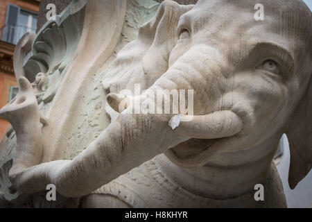 Rome, Italie. 14 novembre, 2016. Une charmante statue de Rome un petit éléphant par grand architecte et sculpteur baroque Gian Lorenzo Bernini a été endommagée par des vandales durant la nuit, a indiqué lundi. Une partie de l'une des défenses d'éléphant a été brisé et la pièce a été trouvée au pied de la statue à Rome, Piazza della Minerva, près du Panthéon. *** *** Légende locale une charmante statue de Rome un petit éléphant par grand architecte et sculpteur baroque Gian Lorenzo Bernini a été endommagée par des vandales durant la nuit, a indiqué lundi. Credit : Andrea Ronchini/Alamy Live News Banque D'Images