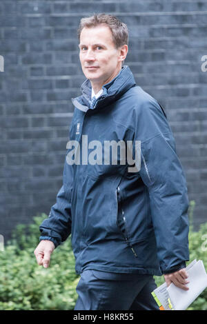 Londres, Royaume-Uni. 15 Nov, 2016. Downing Street, Londres, 15 novembre 2016. Jeremy Hunt Secrétaire de la santé arrive à Downing Street pour la réunion hebdomadaire du cabinet. © Paul Davey/Alamy Live News Crédit : Paul Davey/Alamy Live News Banque D'Images