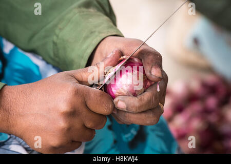 Meki Batu, l'Ethiopie - des travailleurs féminins pour l'épluchage des oignons de la valeur ajoutée à la coopérative de producteurs de fruits et légumes à Meki Batu. Banque D'Images