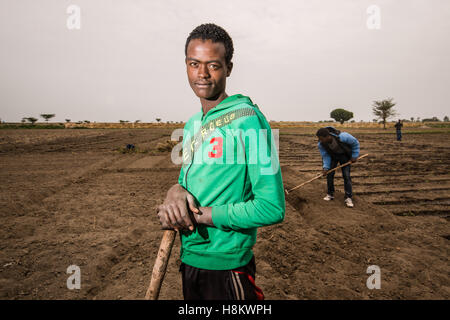 Meki Batu, Éthiopie - Jeunes travailleurs de sexe masculin de labourer le sol à la coopérative de producteurs de fruits et légumes à Meki Batu. Banque D'Images