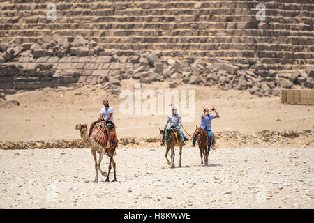 Le Caire, Égypte chameliers à cheval et le tourisme équestre un chameau marche à travers le désert avec les grandes pyramides de Gizeh Banque D'Images