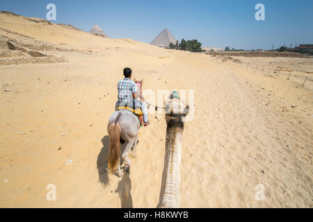Le Caire, Egypte chamelier à cheval et le tourisme équestre un chameau marche à travers le désert avec les grandes pyramides de Gizeh j Banque D'Images