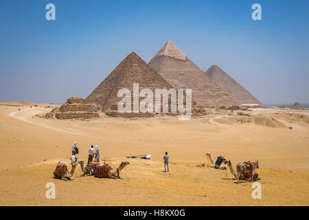 Le Caire, Égypte Touristes et chameliers avec leurs chameaux au repos dans le désert avec les trois grandes pyramides de Gizeh dans le bac Banque D'Images