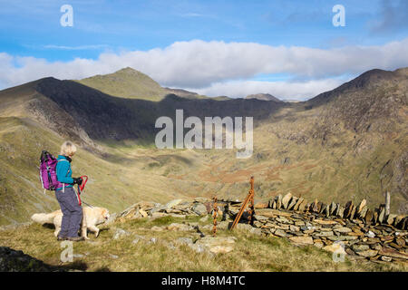 Randonneur avec chien à la recherche en vue de l'autre côté de MCG Llançà à Mont Snowdon de Yr Aran montagne dans le parc national de Snowdonia. Pays de Galles UK Banque D'Images