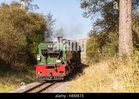 Le Welsh Highland Railway dans le parc national de Snowdonia, Conway, le Pays de Galles. Banque D'Images