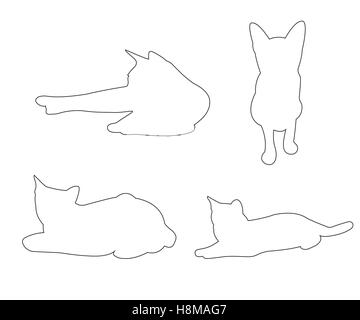 Le trajet des vecteurs de chats mis sur le fond blanc Illustration de Vecteur