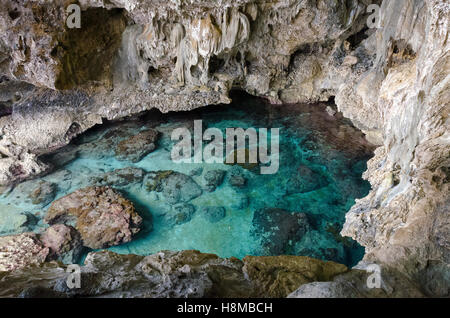 Grotte de calcaire, Avaiki, Nuie, Pacifique Sud, l'Océanie Banque D'Images